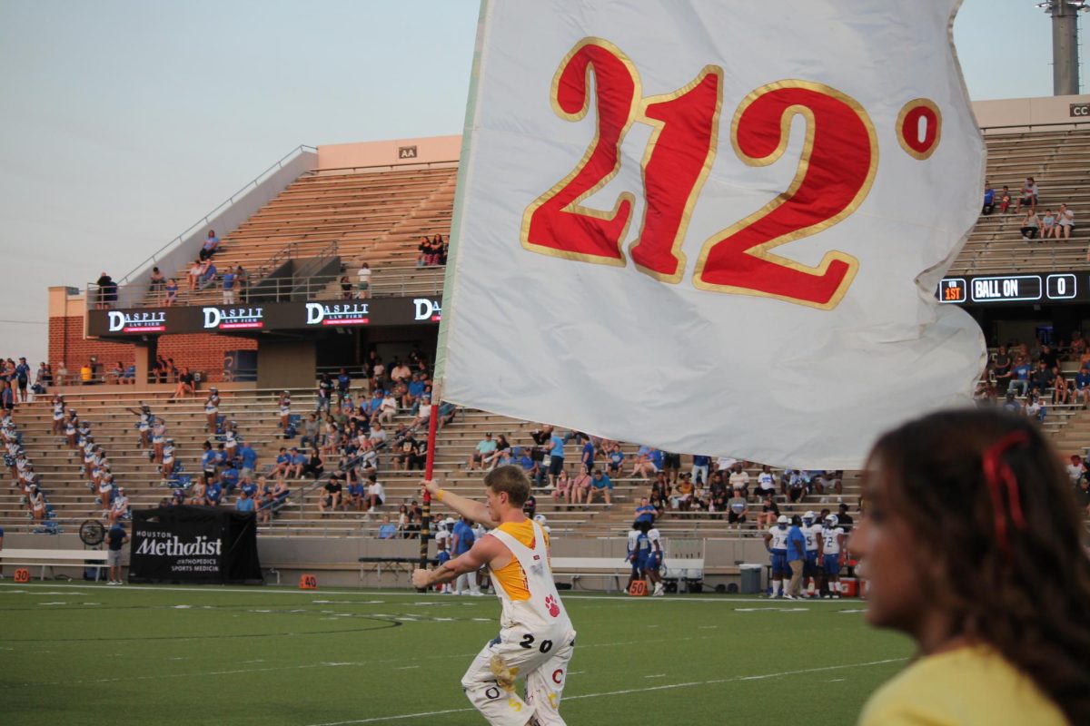 Gold out pictures