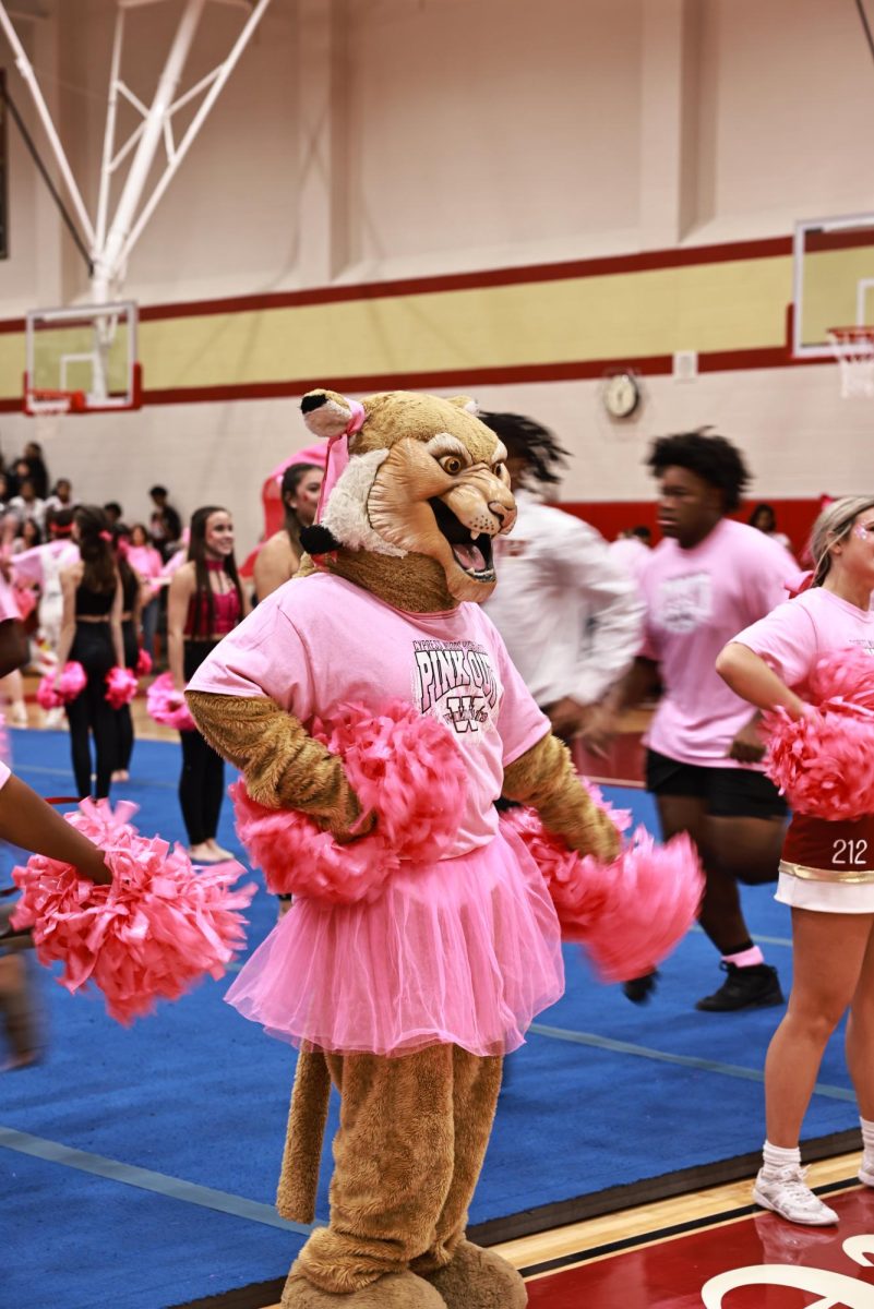 The cheerleaders perform at the start of the Pink Out pep rally.